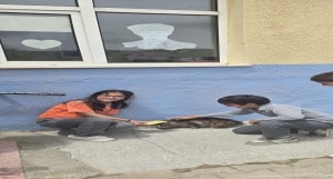 08-05-2025